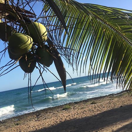 Modern, Welcoming Studio, Ocean View In Juan Dolio Exterior photo