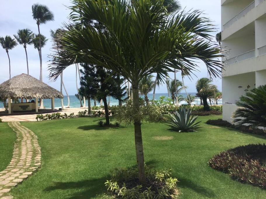 Modern, Welcoming Studio, Ocean View In Juan Dolio Exterior photo